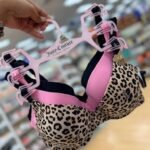 Women Pants & Bra